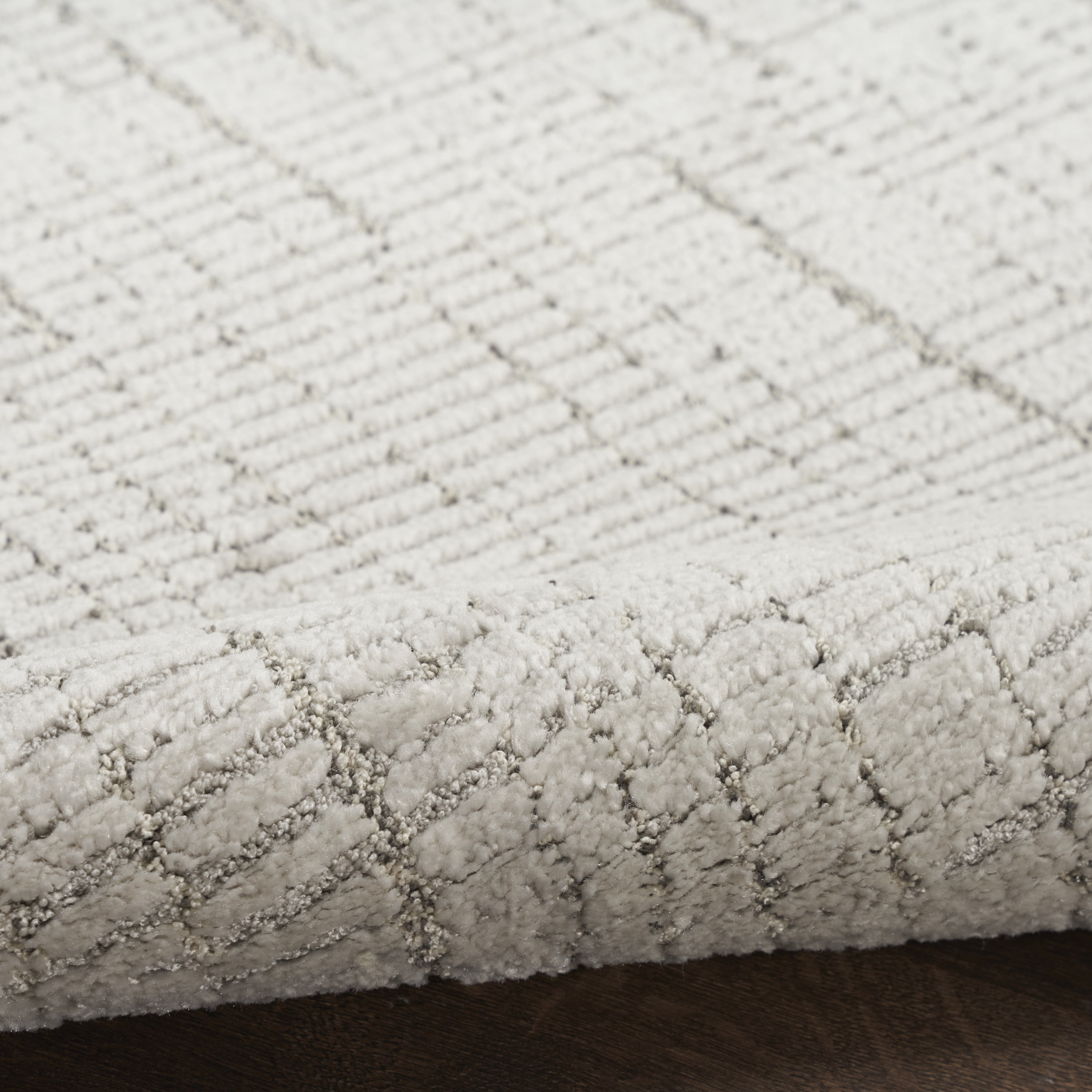 Nourison Andes Abstract Silver 7'10" x 9'10" Area Rug (8x10)