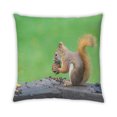 thumbnail image 2 of Ahgly Company Coussin d'Intérieur Animaux Écureuil, 18 Pouces par 18 Pouces, 2 of 6