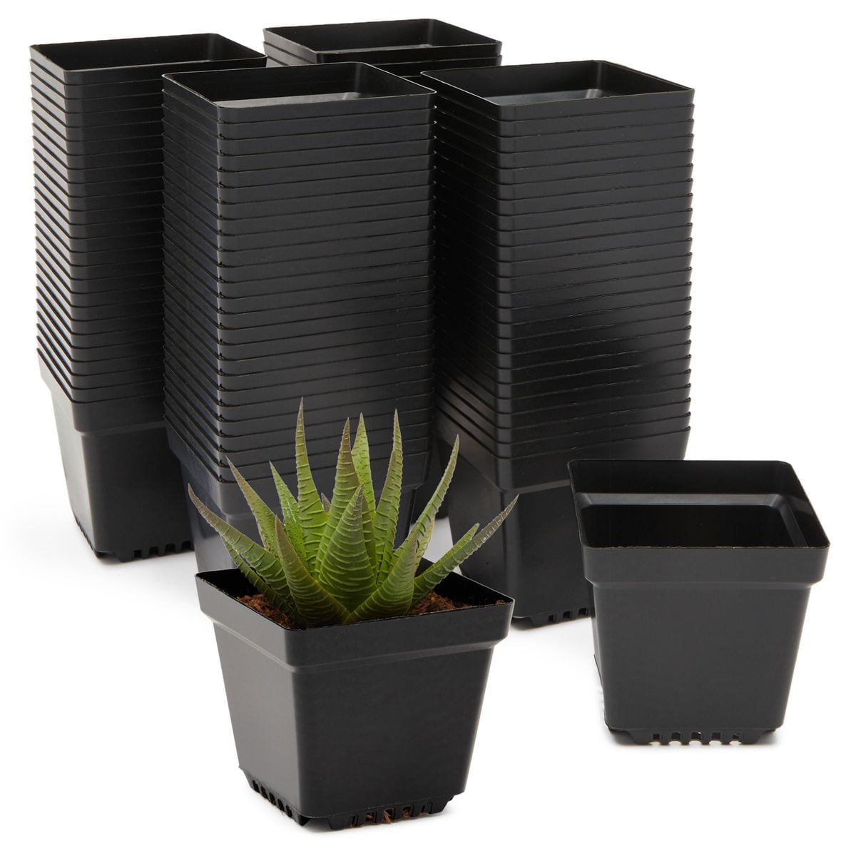 10X Mini Succulent Planters Small Square Pots Plastic Flower Pots Pallet And Pot 