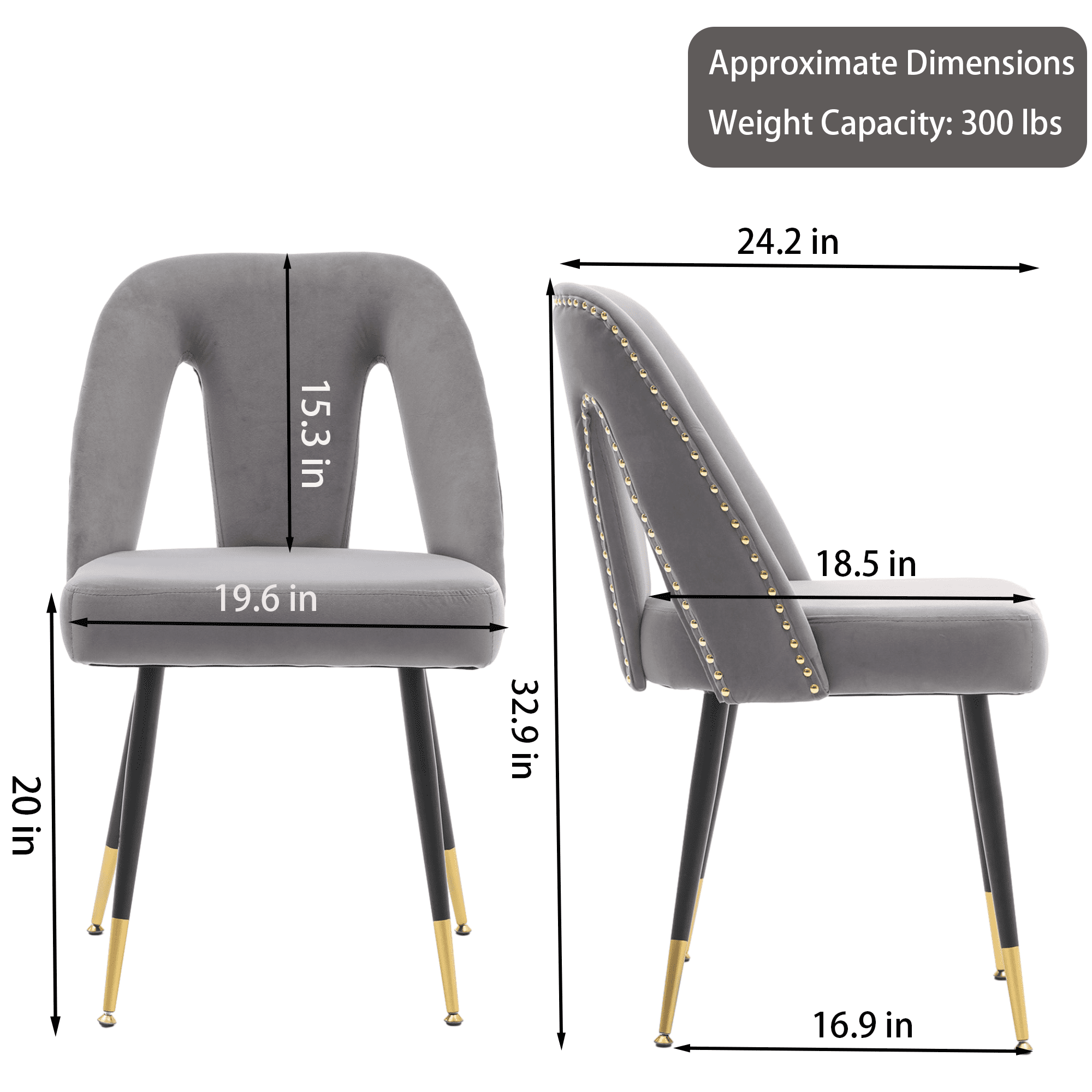 Dining Chairs, Modern Kitchen Dining Room Chairs, Upholstered Dining Accent Side Chairs in Velvet Cushion Seat with Nailheads and Gold Tipped Black Metal Legs (Set of 2)