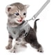 thumbnail image 1 of FEimaX - Juego de arnés y correa para perro, sin tirar, arnés de chaleco para mascotas suave y transpirable, correa acolchada para el pecho para cachorros y gatos control para caminar al aire último i, 1 of 5