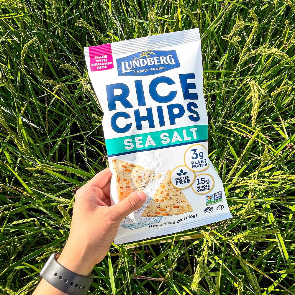 Pack of 6, Lundberg Sea Salt Rice Chips, 5.5 oz