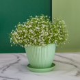 thumbnail image 4 of Round Planters for Plants – Flower Pots with Tray for Succulents, Office & Garden, 4 of 6