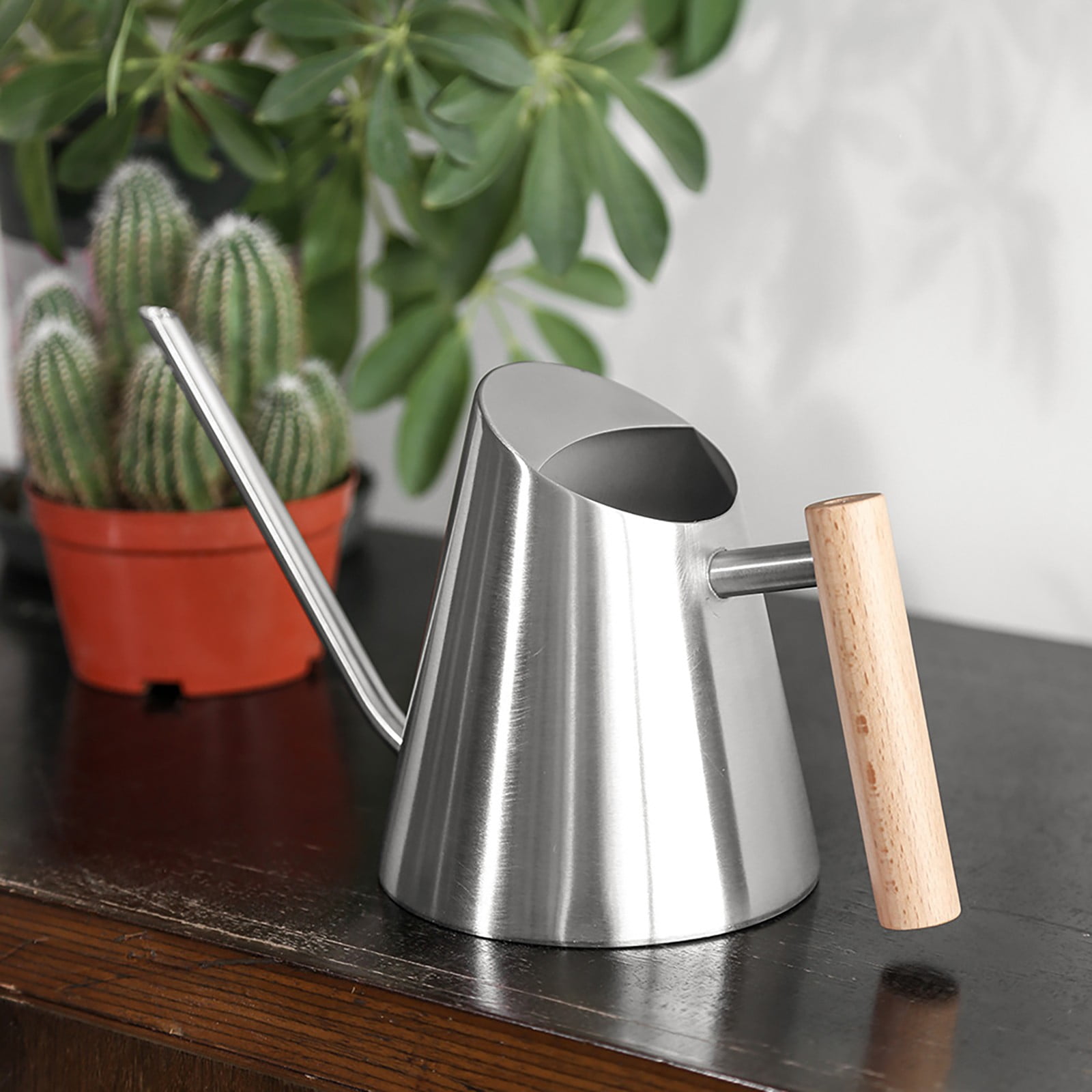 Succulent Watering Kettle Indoor Watering Can Spout Watering Cans Flower Watering Can Indoor Plant Accessories Watering Can Indoor Plants Cute Watering Can Plant for Inside