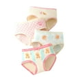 thumbnail image 2 of Spazoro Toddler Girls Briefs, Cotton Soft & Comfy 4-Pack Printed Underwear Panties for Girl Light Blue Size 1.5-16T, 2 of 3