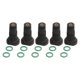 thumbnail image 1 of Kit de generador de chorro,Kit de chorro de generador 99204-ZE0-0350 Reemplaza,Accesorios Repuestos Carburador Premium, 1 of 9
