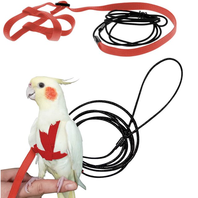 Correa ajustable de nailon Bird Harness CIEOVO para loros, 1,9 m