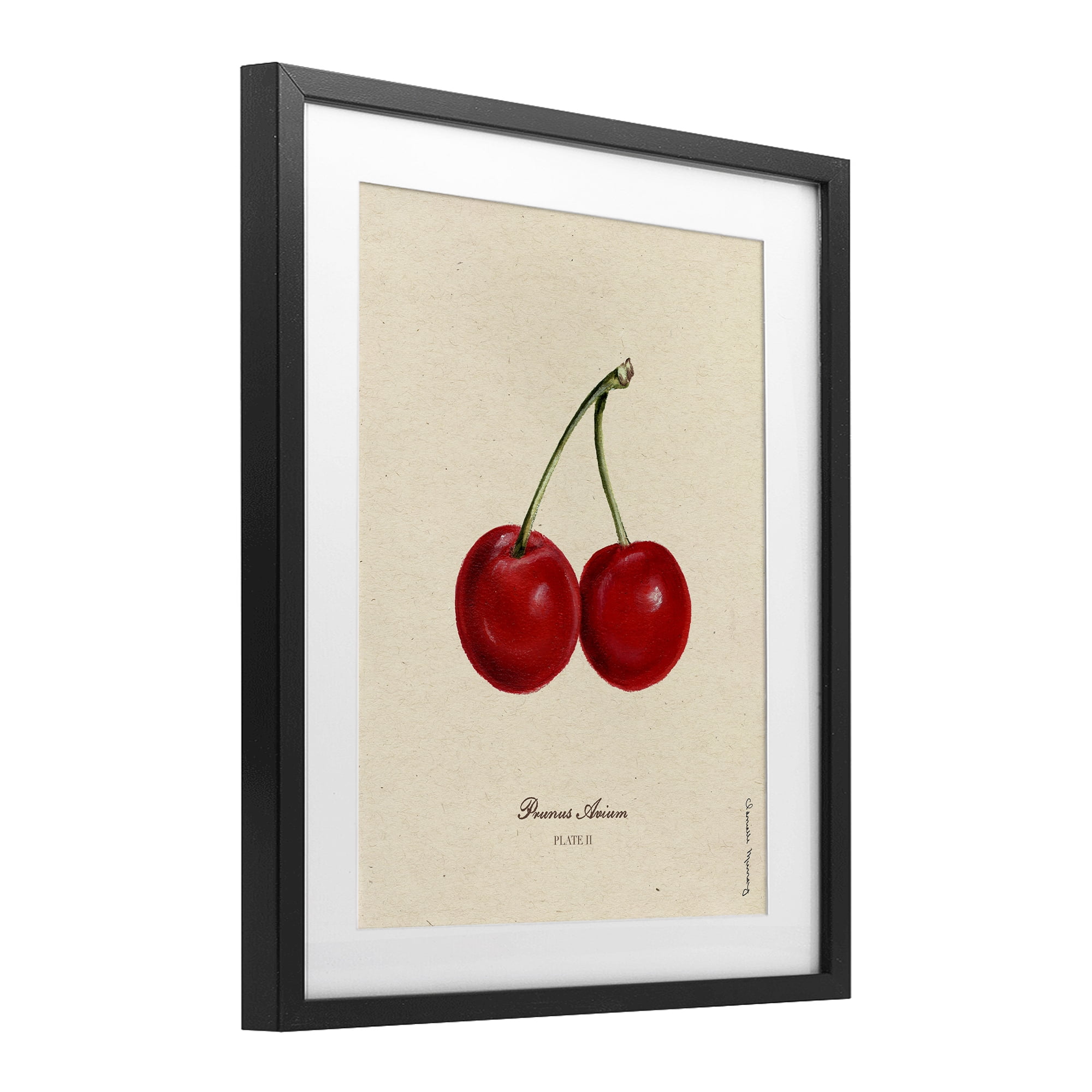 Stupell Industries Cherry Fruit Portrait Black Framed Print Under Glass, design by Danielle Murray