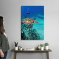 thumbnail image 2 of Great BIG Canvas Photography Tropical, 2 of 7