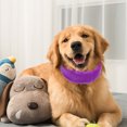 thumbnail image 3 of Cache-Oreilles Portable pour Chien, Cache-Oreilles Élastique Confortable Accessoire pour Chien Chaud, 3 of 7