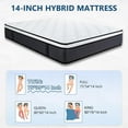 thumbnail image 4 of Twin Mattress, Queen Rose 14 inch Hybrid Medium Firm Adult Mattress with Memory Foam in a Box, with Individually Pocket, 4 of 9