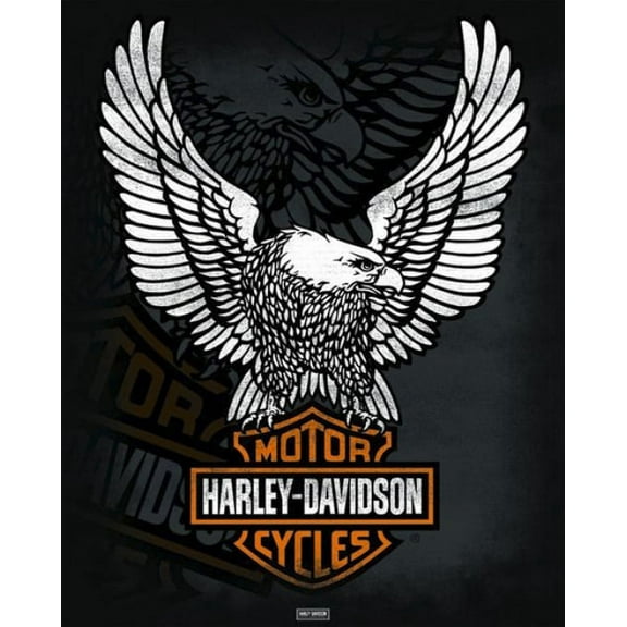 Rolled Poster Harley Davidson - Eagle Poster 16'' x 20'' Framed Poster