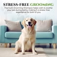 thumbnail image 6 of Natural Dog Shampoo for Itchy and Sensitive Skin (Fresh Apple), 6 of 9