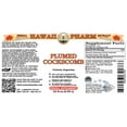 thumbnail image 2 of Plumed Cockscomb (Celosia Argentea) Dry Seed Liquid Extract. Expertly Extracted by Trusted HawaiiPharm Brand. Absolutely Natural. Proudly made in USA. Tincture 32 Fl.Oz, 2 of 3