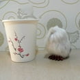 thumbnail image 4 of Mini Lindo Juguete De Búho Blanco, Carcasa Dura De Polietileno, Para Fiesta De Cumpleaños De Año Nuevo, De Decoración Navideña, 4 of 6