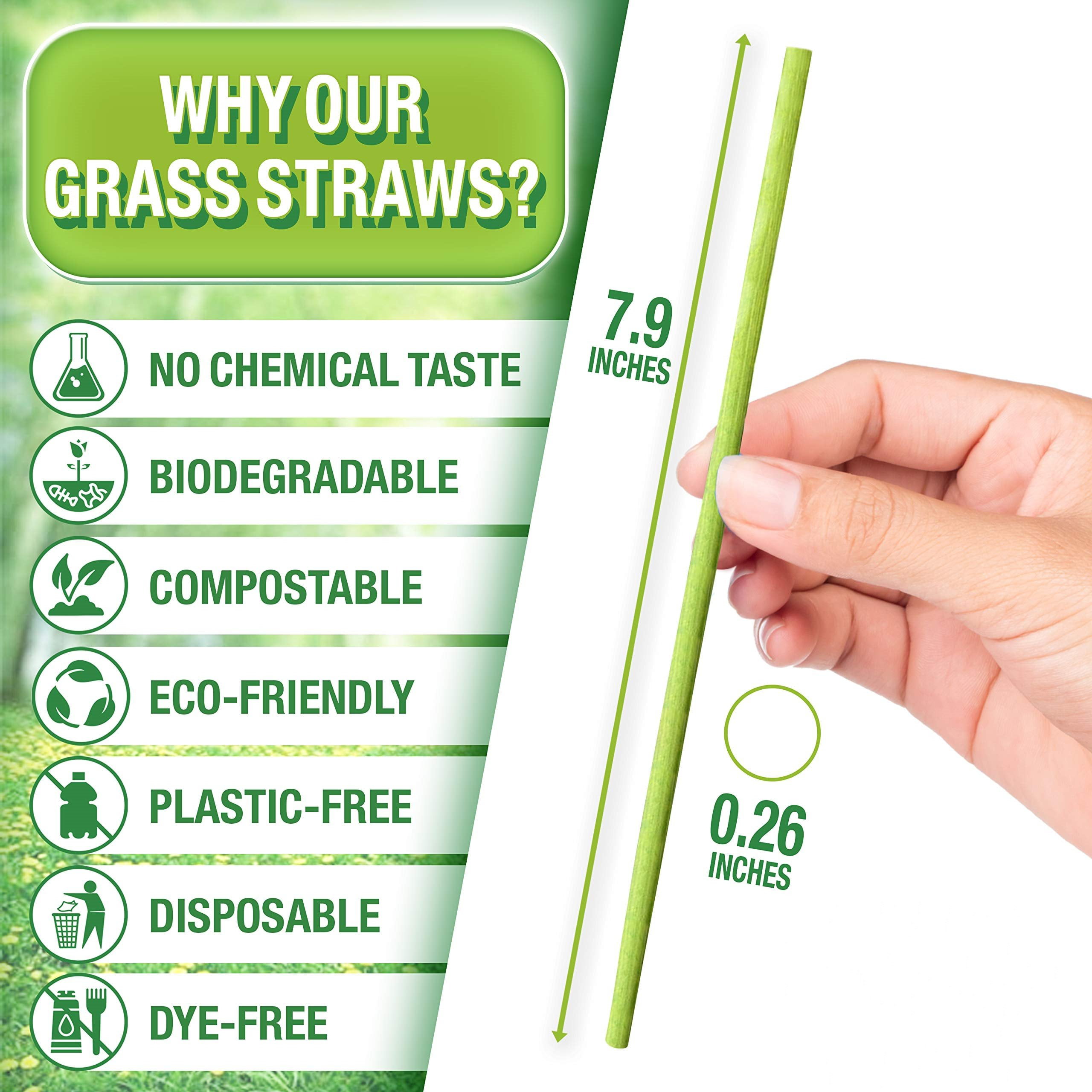 Grass Drinking Straws - Great Prices, Buy Now
