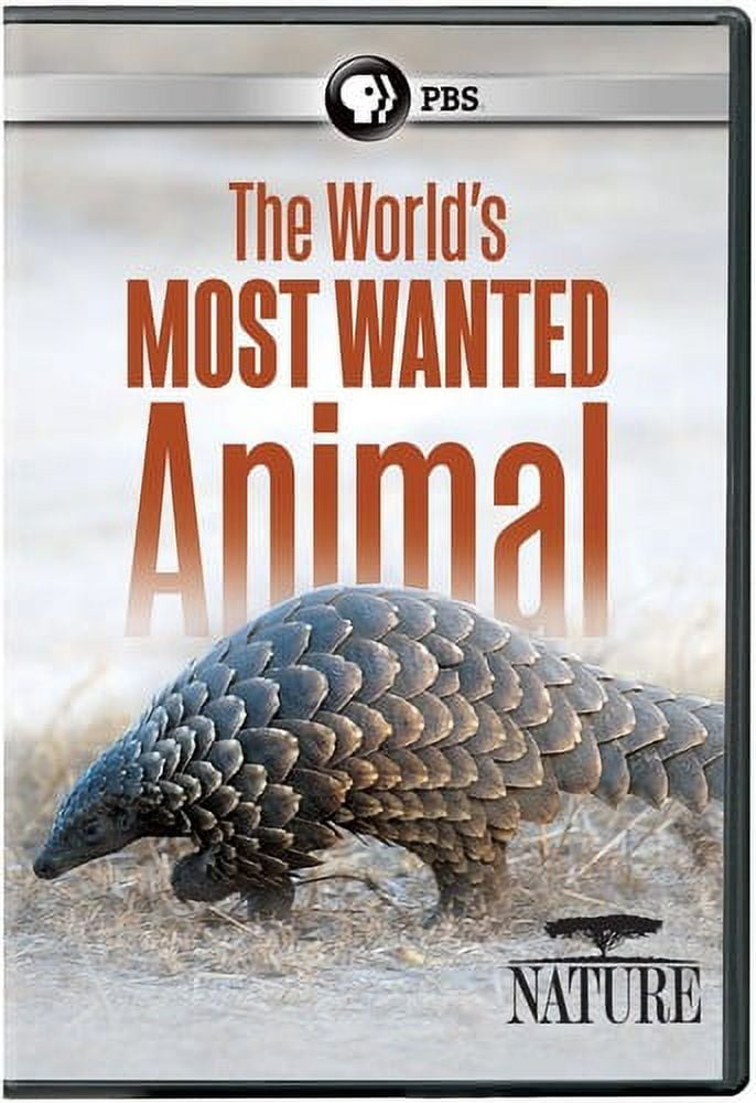 India: Nature's Wonderland (DVD) - Walmart.com