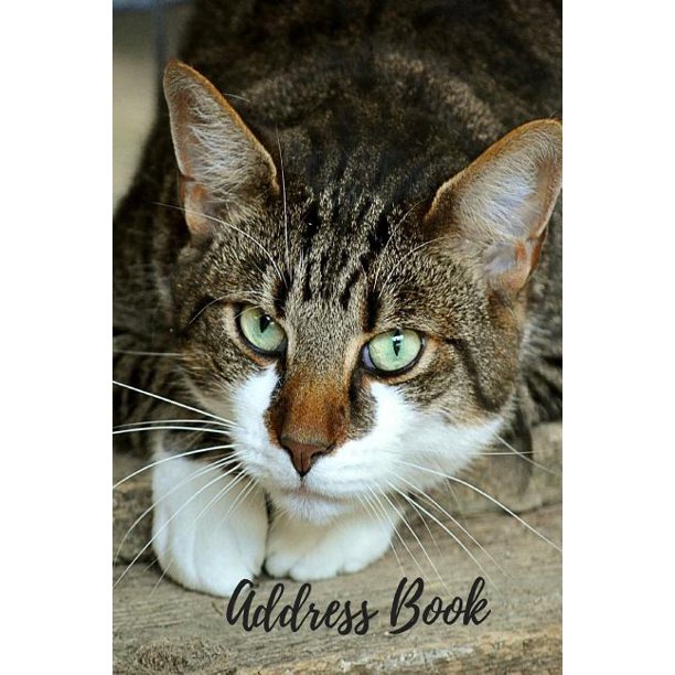 Telephone Information Number