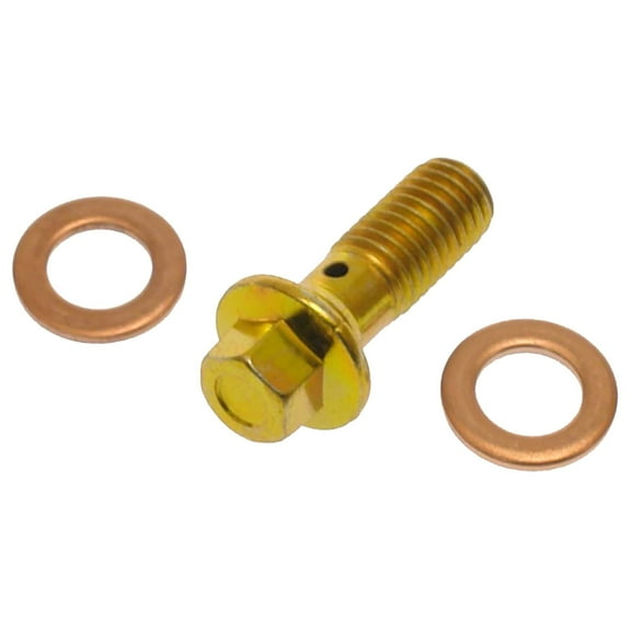 Raybestos R-Line Hardware Fits select: 2013 DODGE CHARGER, 2014-2015 CHRYSLER 300C