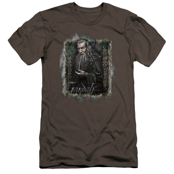The Hobbit Gandalf Premium Canvas Adult Slim Fit 30/1 T-Shirt Charcoal
