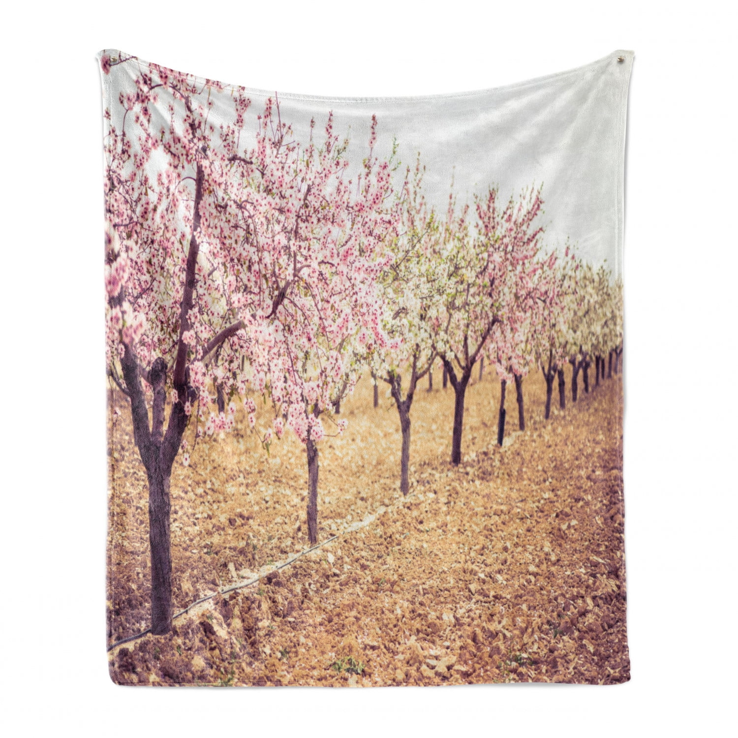 Almond Blossom Soft Flannel Fleece Blanket Spring Blossom Orchard With Blurred Background Pastel Colored Idyllic Design Cozy Plush For Indoor And Outdoor Use 50 X 70 Multicolor By Ambesonne Walmart Com