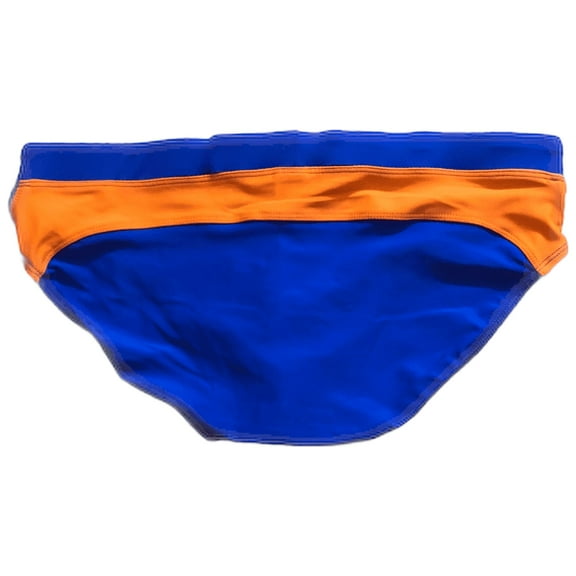 Men's Racing Stripes Swim Briefs Water Sports Swimwear