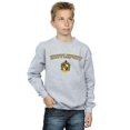 thumbnail image 2 of Harry Potter Boys Hufflepuff Crest Sweatshirt, 2 of 3
