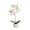 White 2PCS, variant on Baabni Simulated Plant Bonsai Indoor Butterfly Orchid Bonsai Plants Elegance Tranquilit
