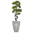 thumbnail image 1 of Artificial Faux Bonsai Tree 62" Fake Plant with Planter, 1 of 3