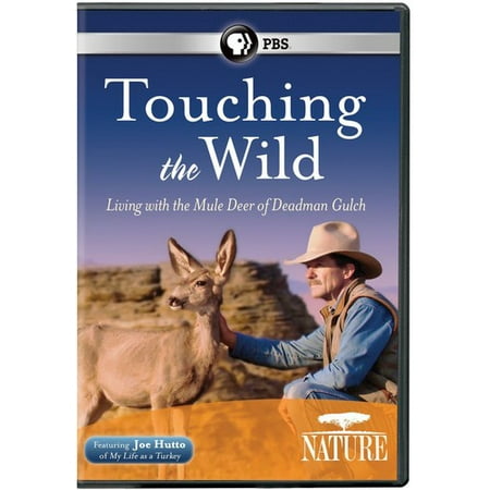 Nature: Touching the Wild - Living With the Mule Deer of Deadman Gulch