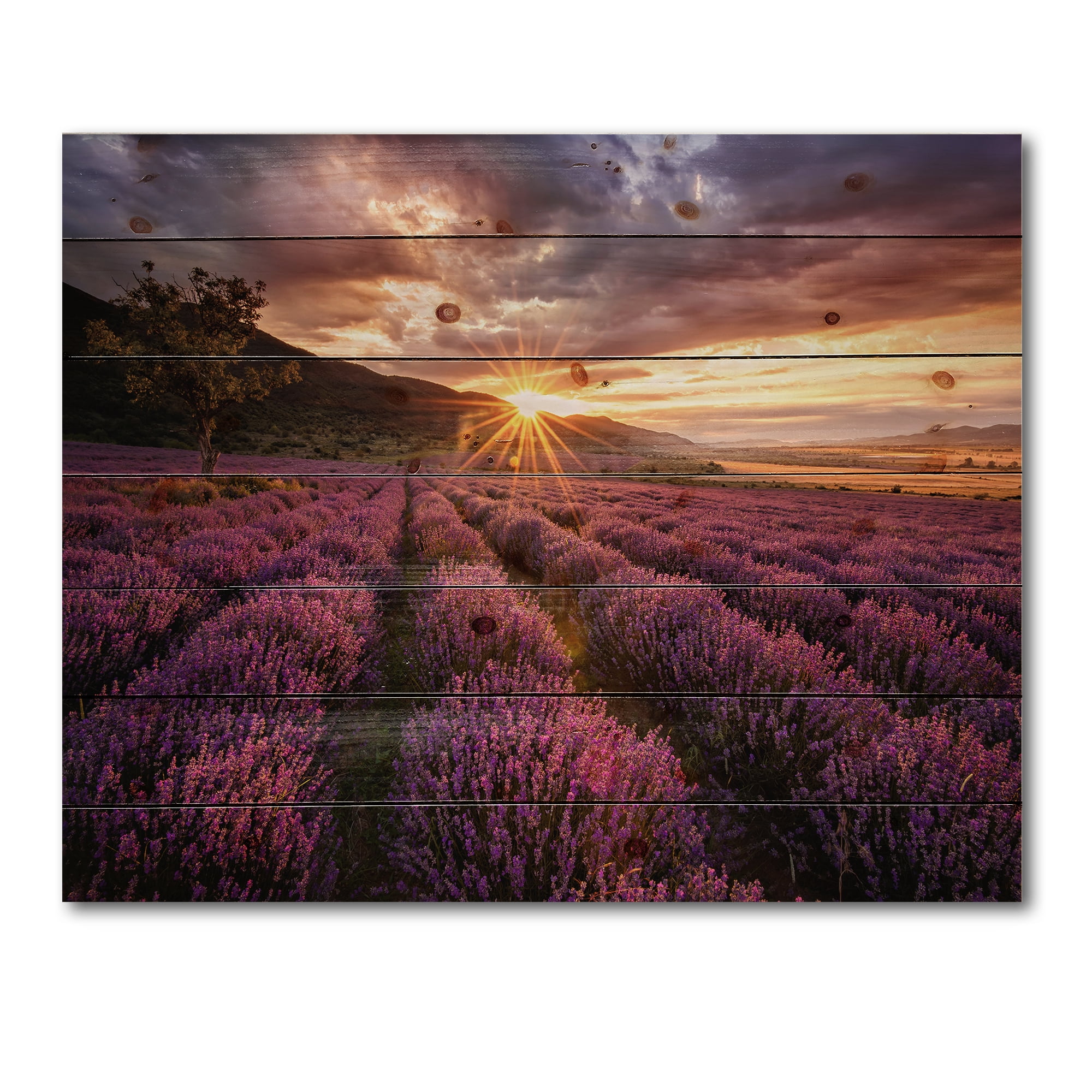 Designart 'Dramatic Clouds and Sunrise Over Lavender Field IV' Farmhouse Print on Natural Pine Wood