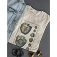 thumbnail image 3 of Sea Shell V T-Shirt Women -Denis Diderot Designs, Female 4X-Large, 3 of 4