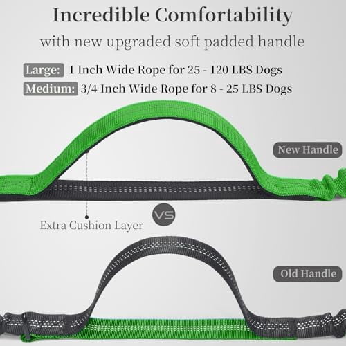 Hands Free Dog Leash with Zipper Pouch, Dual Padded Handles and Durable Bungee for Walking, Jogging and Running Your Dog (Large, 25-120 lbs, Emerald)