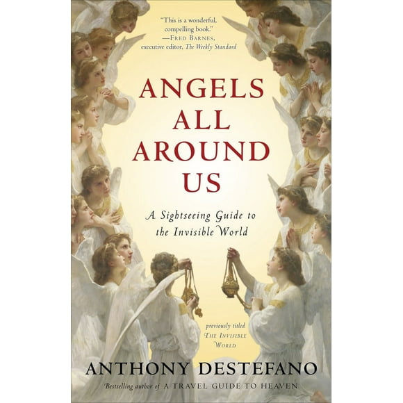 Pre-Owned Angels All Around Us: A Sightseeing Guide to the Invisible World (Paperback) 0385522223 9780385522229