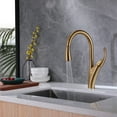 thumbnail image 2 of 360 Degree Swivel Pull Down Kitchen Sink Faucet, Two Functions Brushed Gold Single Handle Kitchen Faucet, 2 of 8