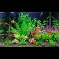 thumbnail image 3 of Full Set Aquarium Artificial Plastic Plants Decoration Tank Fish XBX Rock FGH, 3 of 7