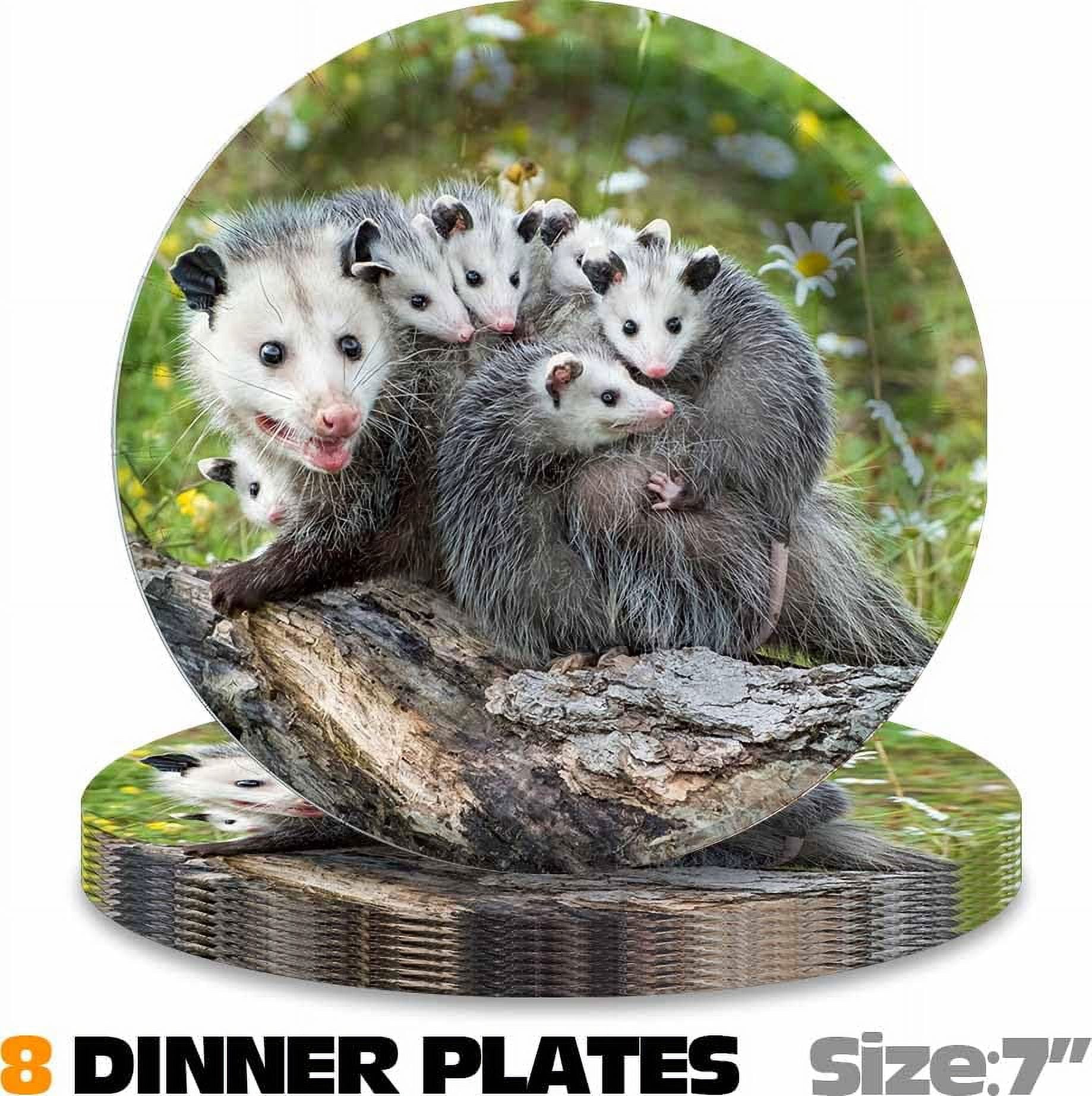 Opossum Birthday Party Supplies Decorations Plates Cake Topper Backdrop Banner Decor