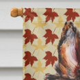 thumbnail image 3 of Caroline's Treasures SC9670CHF Collie Automne Feuilles Drapeau Toile, Grand, Multicolore, 3 of 5