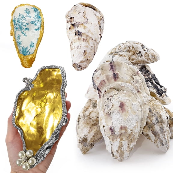 20PCS Extra Large Oyster Shells for Crafts 5"-6", Odor-Free Natural Seashells for DIY, Painting, Wedding Decor, Decorating, Vase Fillers, Coastal Art Projects