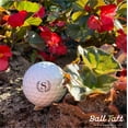 thumbnail image 2 of Ball Tatt S Initial Golf Ball Stamper Self-Inking Quick-Dry Monogram Ball Stamp (Black), 2 of 8