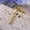 Gold, variant on Unique Custom Name Keychain for Men Women Personalized Stainless Steel Nameplate Customized Engraved Letters Keyring Gift
