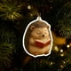 thumbnail image 3 of Colección de adornos para amantes de los libros | Adornos colgantes de animales de lectura acrílicos 2D | Decoración literaria de zorro, mapache y pájaro para árbol de Navidad | Regalo para lect, 3 of 4
