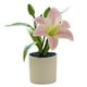 thumbnail image 2 of Gwong Decoración hogareña Fallo de flores falsas simuladas con facilidad de fácil cuidado de plástico Lily Bonsai decoración artificial de la planta para el hogar Gwong 21083261, 2 of 6