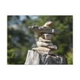 thumbnail image 2 of Stones Trail as Marker Forest Floral Nature Photography Canvas Wall Art for Home Decor Ready-to-Hang, 2 of 18