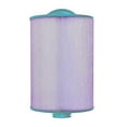 thumbnail image 1 of Hurricane HF6H940-01P Platinum Purple Pool and Spa Filter Cartridge Replacement, 1 of 7