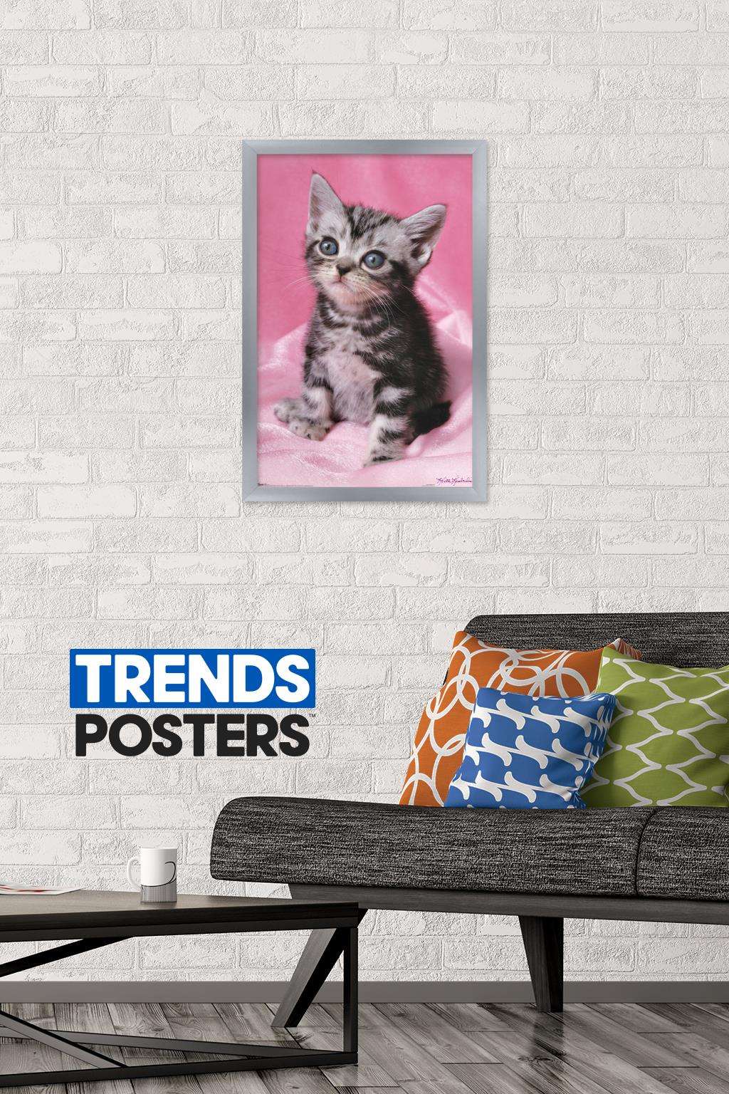 Keith Kimberlin - Kitten - Cute Wall Poster, 14.725" x 22.375", Framed