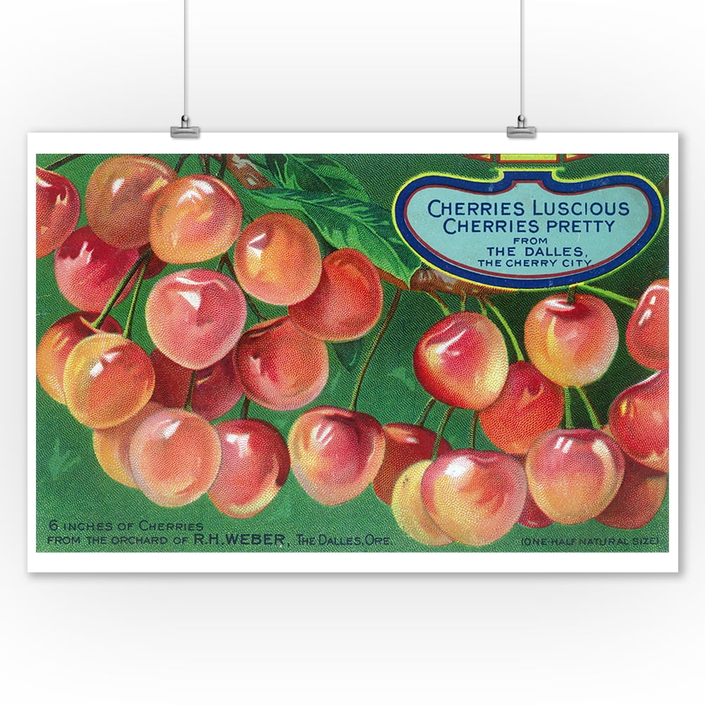 The Dalles, Oregon Cherries from the Cherry City (9x12 Art Print