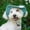 Green, variant on Adjustable Dog Baseball Cap, Summer Sun Visor Hat with Ear Holes Soft Corduroy Pet Sunbonnet for Dogs Cats Outdoor Beach Walking(Yellow,S)