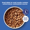 thumbnail image 4 of Nature's Recipe Grain Free Small Breed Dry Dog Food Chicken, Sweet Potato & Pumpkin, 12 lb Bag, 4 of 11