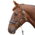 thumbnail image 2 of Hy Leather Head Collar, 2 of 2